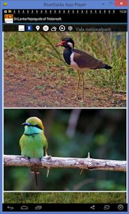 Free Sri Lanka Rejseguide APK