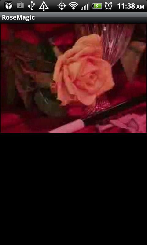 Android application Rose Magic screenshort