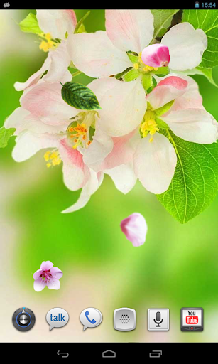 Flowers Spring live wallpaper