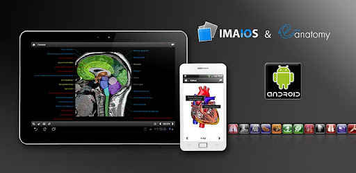 Anatomy Atlas - Spanish -  apk apps