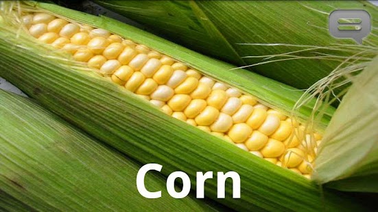 How to mod KidzKardz lastet apk for pc