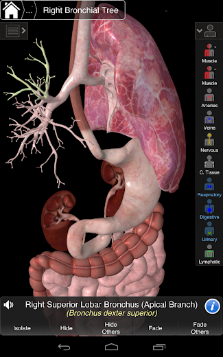Essential Anatomy 3 - screenshot
