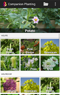 How to download Companion Planting 1.2.1 apk for pc