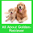 All About Golden-Retriever APK - Download for Windows