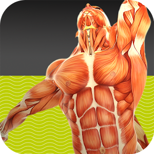 Muscle Tests  2 醫療 App LOGO-APP開箱王