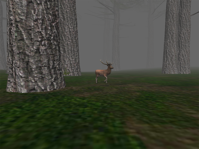 Trapped in the Forest FREE Screen 3