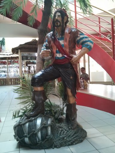 Pirat In Ostrov Sokrovish