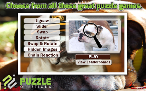 Bulldog Dog Puzzle Games