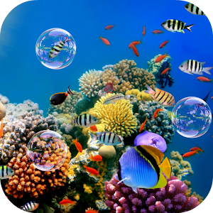 Download Colorful Tropical Fishes For PC Windows and Mac