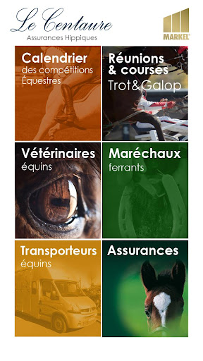 Le Centaure assurance chevaux