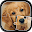 Cute Dogs Jigsaw Puzzle Download on Windows
