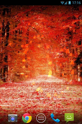 Maple Leaves Live Wallpaper