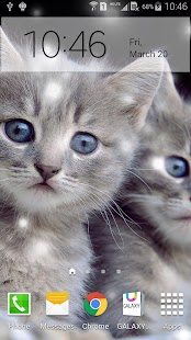 Free Q Cats Live Wallpaper APK