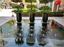 Fengshui Tree Mini Water Sprouts