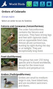 World Birds Demo Screenshots 1