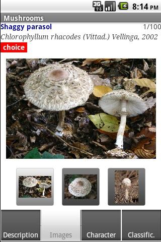 【免費書籍App】Mushrooms-APP點子