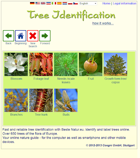 Tree identification