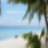 Vacation Countdown Widget