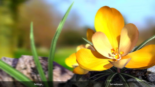 【免費個人化App】Nature Live❁ Spring Flowers 3D-APP點子