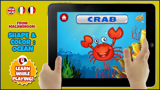 Ocean Shape Color Screenshots 4