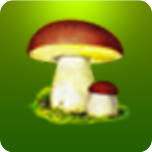 Fungaroli Matti.apk 6.0