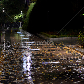 In A Rainy Night by Rumiana Doncheva - City,  Street & Park Night