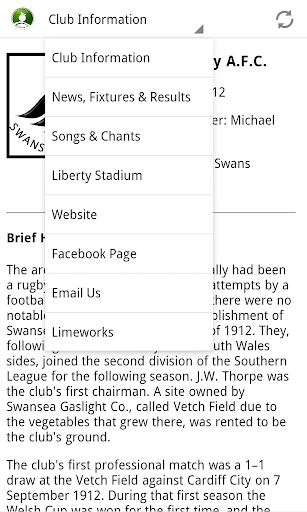 Everything Swansea City