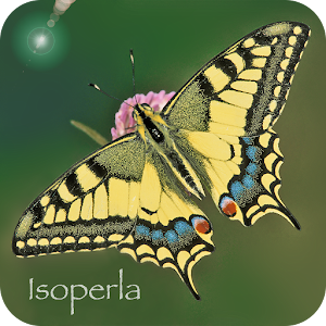 Butterfly Id - British Isles logo