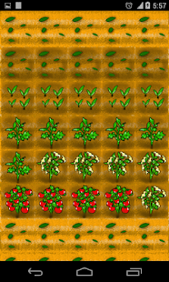 Download GRE GMAT words APK for Android