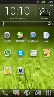 Yandex.Shell - screenshot thumbnail