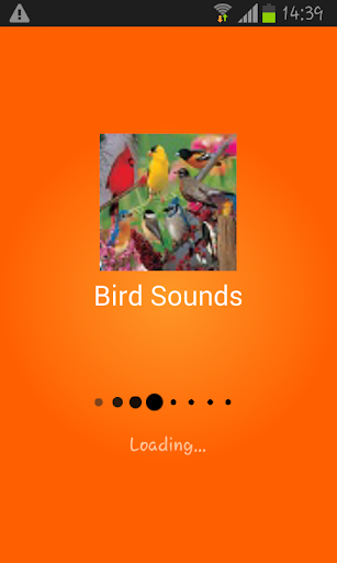 Bird Sounds