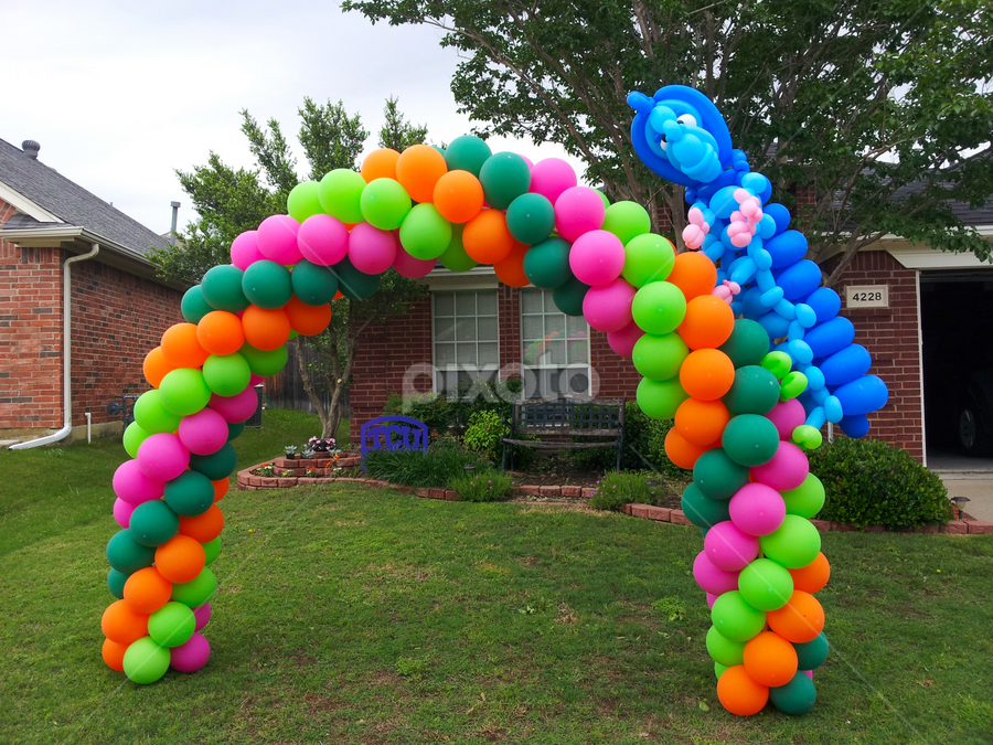 Giant twisted balloon animal caterpillar on a colorful balloon a | Other  Objects | Artistic Objects | Pixoto
