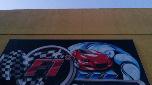 F1 Car Mural