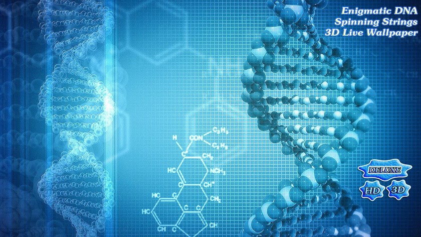 Enigmatic DNA Spinning Strings Screen 2