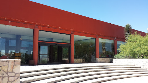 Museo Del Desierto