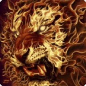 lion 3d live wallpapers