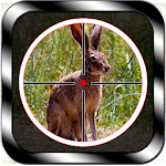 Wild Rabbit Hunting Apk