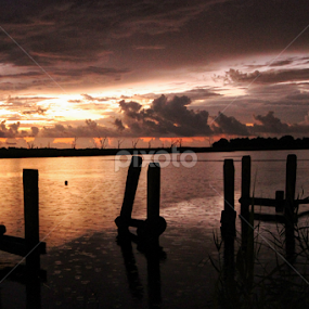 Sunrise on the Bayou by Shane Adams - Landscapes Sunsets & Sunrises