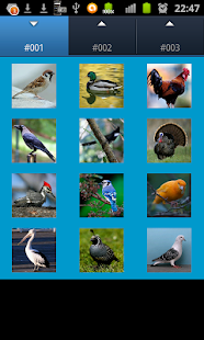How to download Bird Sounds 1.3 apk for bluestacks