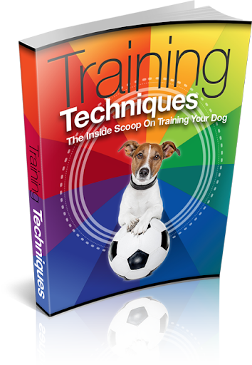 Free Dog Training Tips