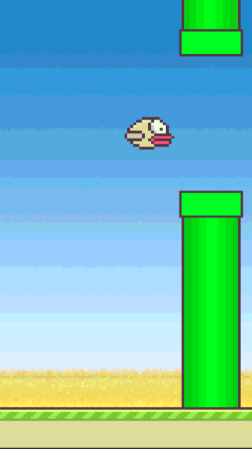 Birdy Flapper Screen 3