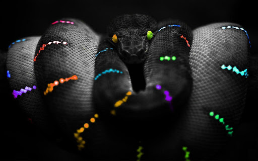 【免費娛樂App】Snake Wallpaper-APP點子