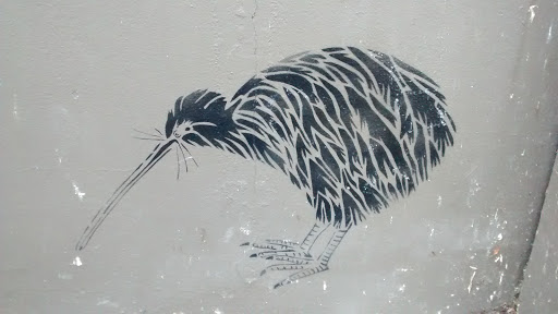 Kiwi Mural