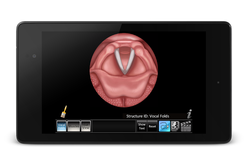 【免費醫療App】Vocal Folds ID-APP點子