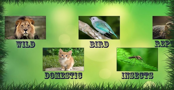 How to mod Animal Sound For Kids 1.0 mod apk for pc
