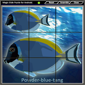 Magic Slide Puzzle A Fishes 2.apk 1.29