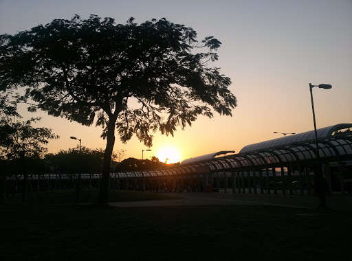 Sunny Bay Bus Terminal