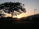 Sunny Bay Bus Terminal