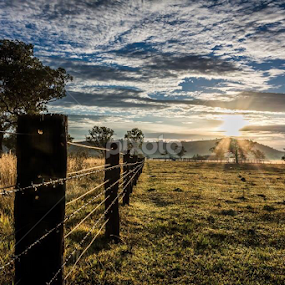 by Justin Mckinney - Landscapes Prairies, Meadows & Fields