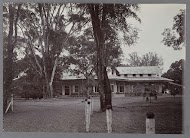 Gebouwen tussen bomen